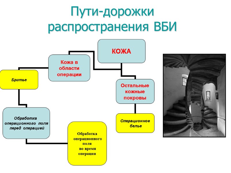 Пути-дорожки распространения ВБИ